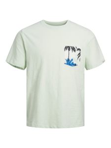 Herren T-Shirt JORTULUM